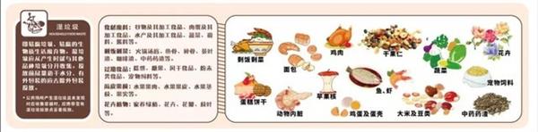 垃圾不分类罚5万元 手机电脑属于什么垃圾