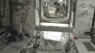 ezgif-3-fc93616b62bf.gif
