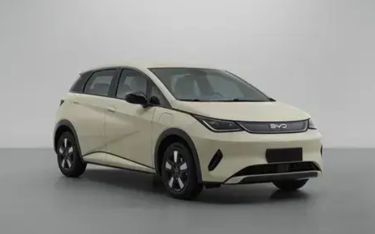 天神之眼智驾上车!新款比亚迪海豚实车曝光