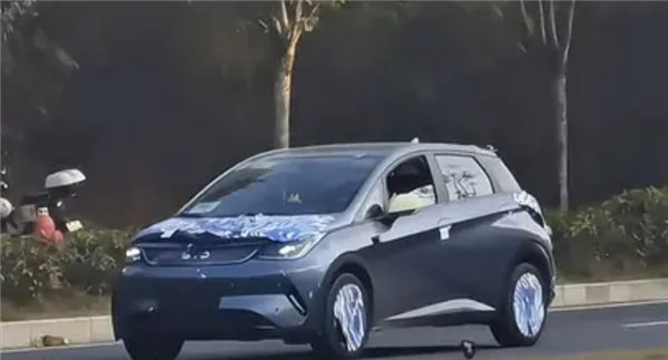 天神之眼智驾上车!新款比亚迪海豚实车曝光