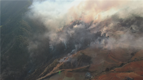 多名熊孩子野外玩火致烧山:家长赔偿145万元