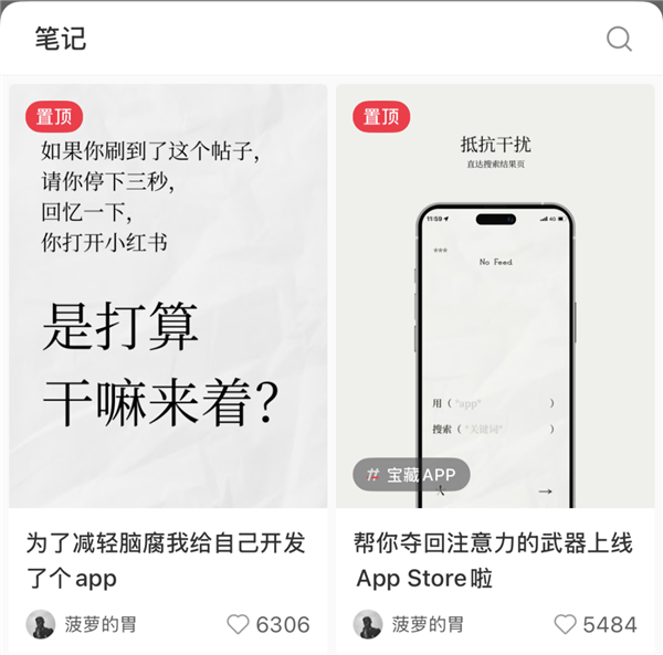 她能做出爆款App 却没有资格进入大厂
