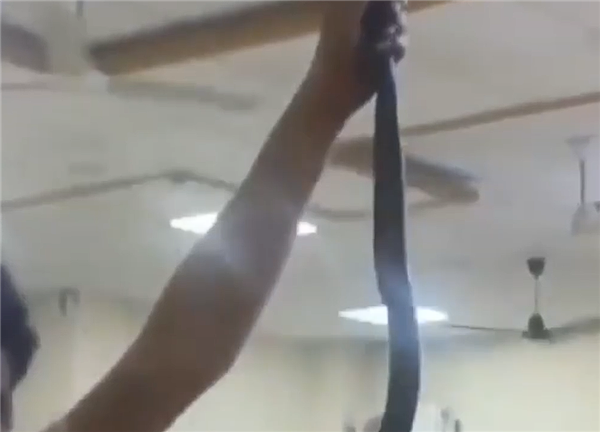 印度男子被毒蛇咬伤 直接带着蛇一同就医：捡回一条命