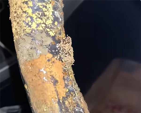 女子洗车后9天未动：再次开门让人惊掉下巴