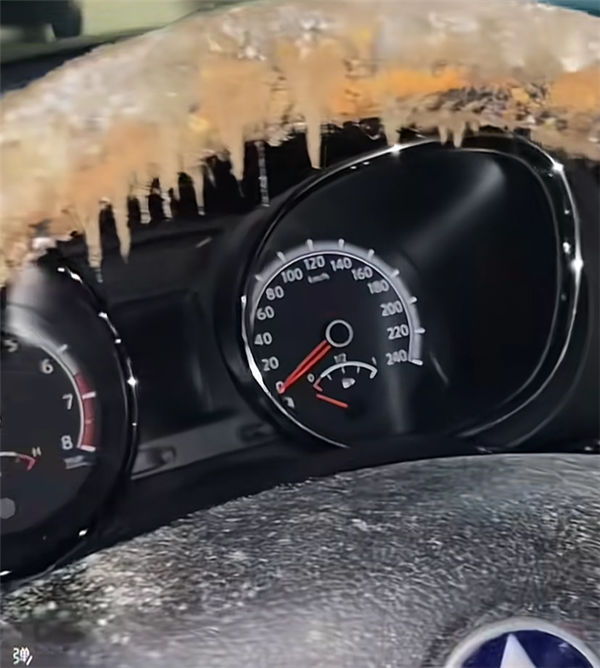 女子洗车后9天未动：再次开门让人惊掉下巴