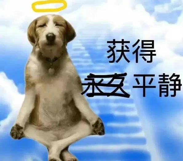 老黄又又又把中国车企坑了！还是看看远处的自研芯片吧