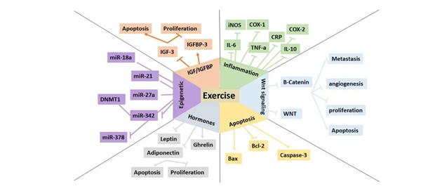 最强证据：这种习惯真的能抗癌 建议每个人都码住