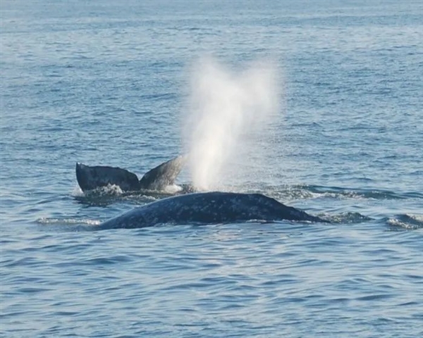 水下闭气超29分钟！人类终于做到了