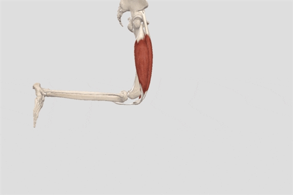 走路时膝盖突然“软”一下 别以为是累了 或许是这些疾病的信号