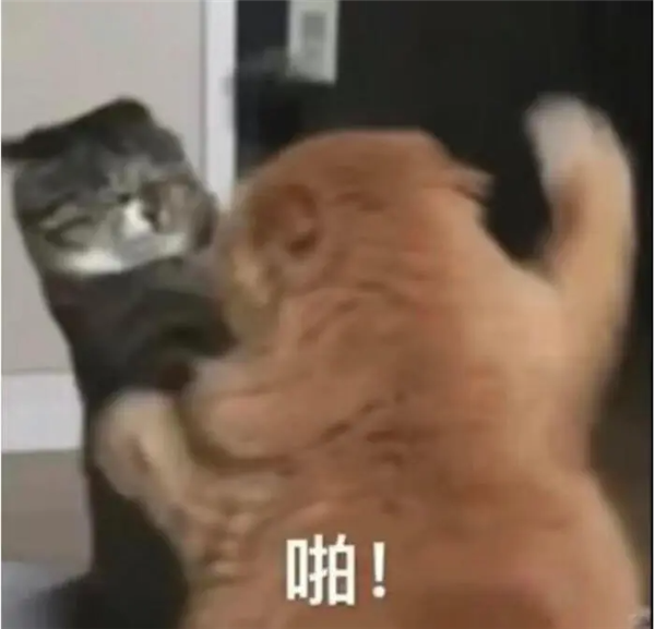 打了2009天的社区团购 还是拼多多笑到了最后